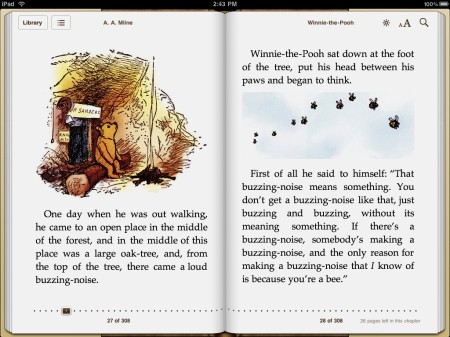 ipad-ibooks-landscape-view
