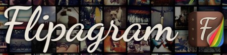 logoflipagram