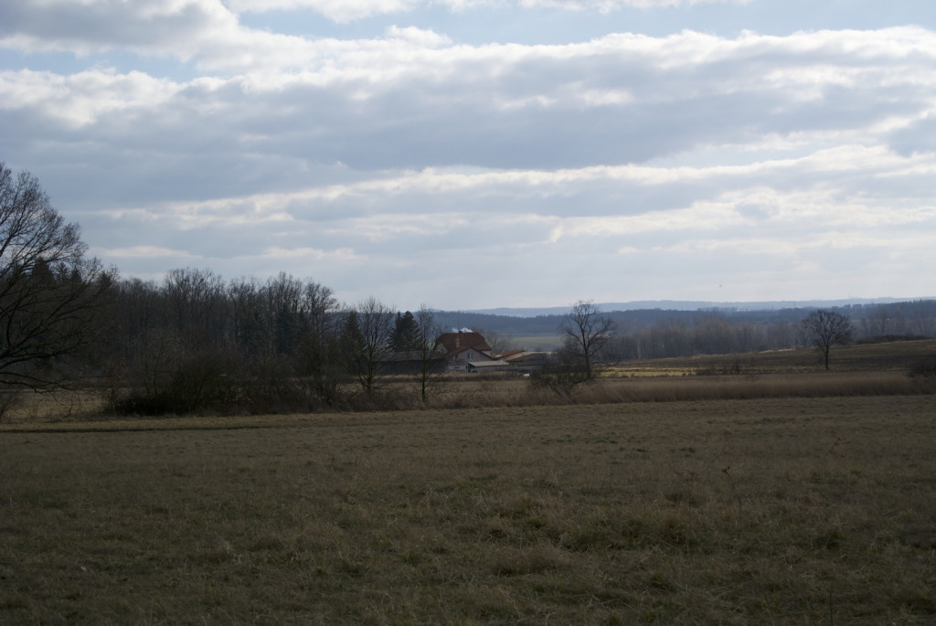 DSC_1593