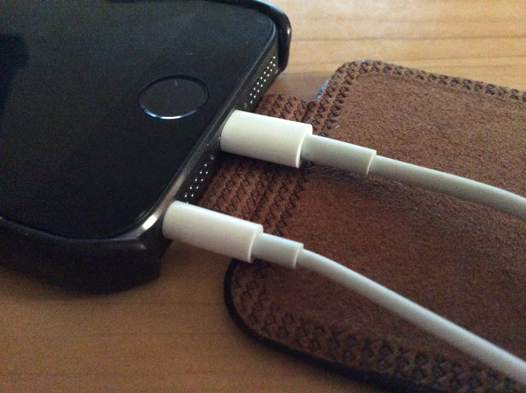 Leather Case 10