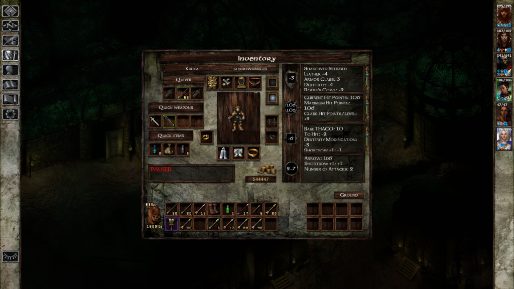 Icewind Dale 8
