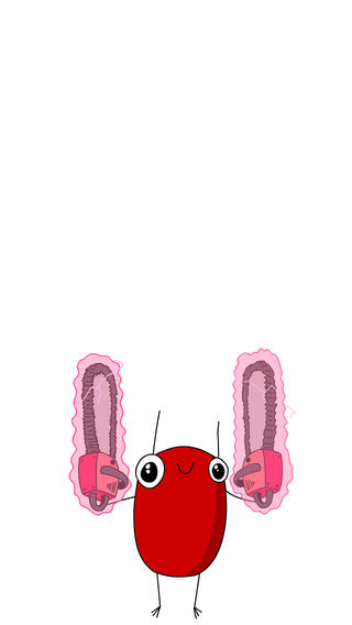 sb3