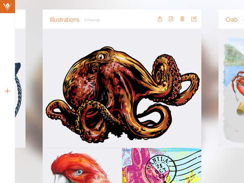 adobe01