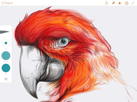 adobe02