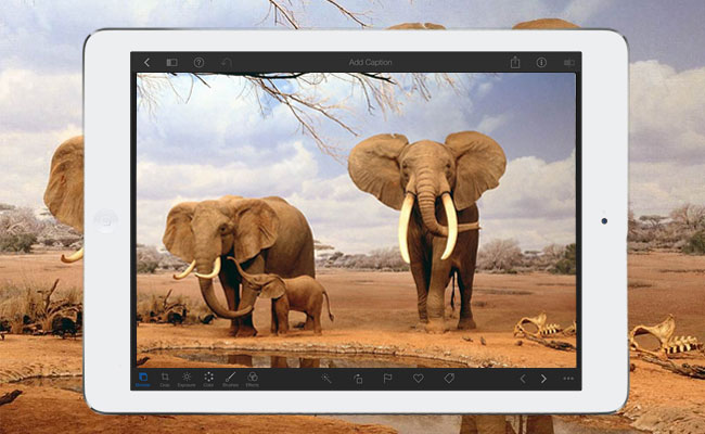 Apple iPad Air 2 nám dokázal, že fotografie tabletem může dávat smysl
