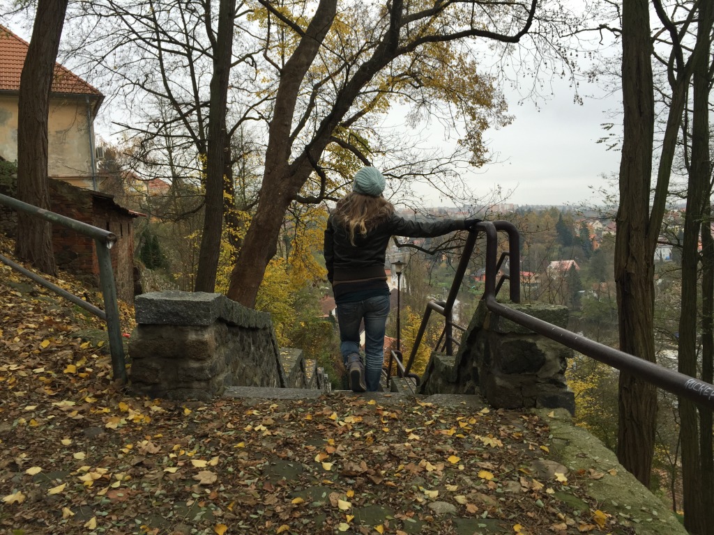 iPhone 6 Plus foto 2