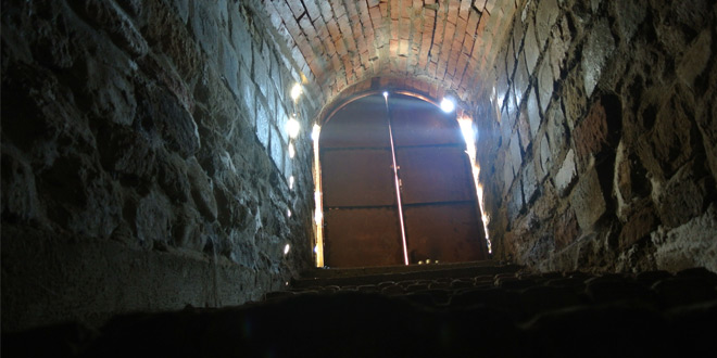 Pavlovo Slovo z redakce o WordPressu a vínu