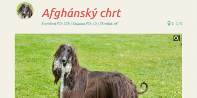 Můj pes – nová aplikace pro iPad