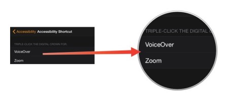 apple-watch-tips-accessibility-shortcut_0
