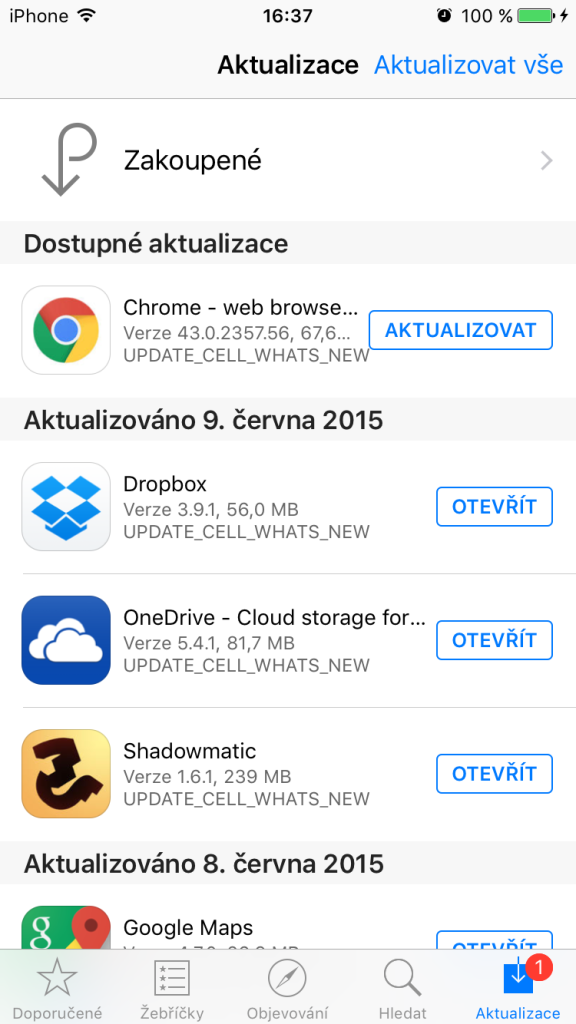 app_store_bug