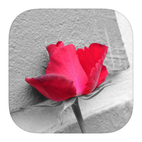 ezColor – obarvěte část černobílé fotografie