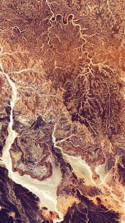 papers.co-be11-dessert-earthview-art-illustration-33-iphone6-wallpaper-250x444