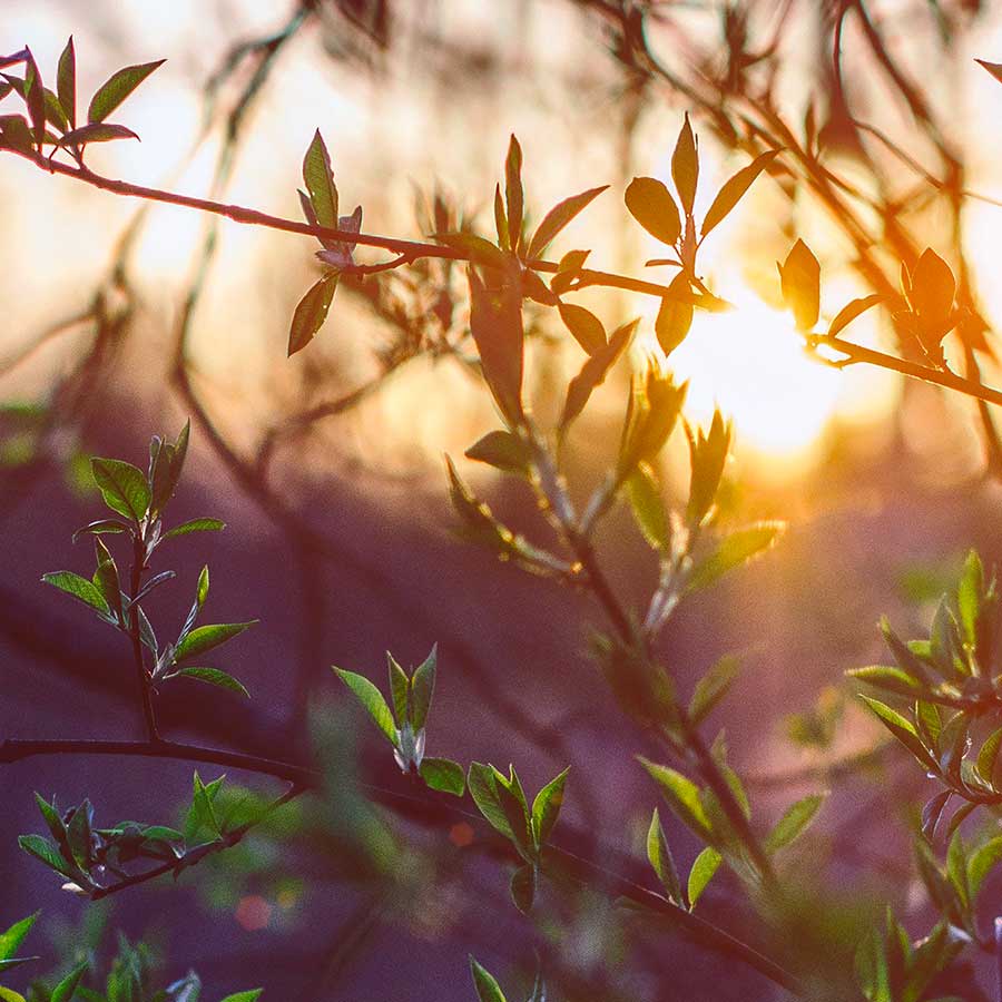 Tapety pro iPhone ke stažení (19. 8. 2019)