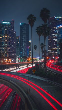 papers.co-oc50-city-night-summer-la-nature-33-iphone6-wallpaper-250x444-2