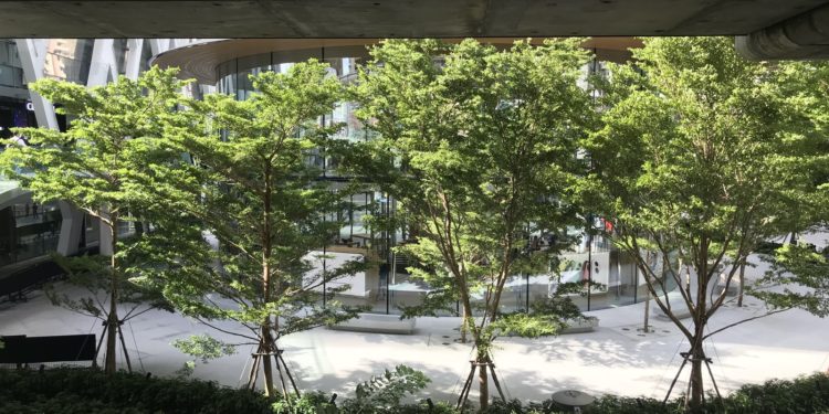 Podívejte se dovnitř nového Apple Store v Bangkoku