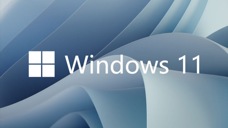 Windows 11