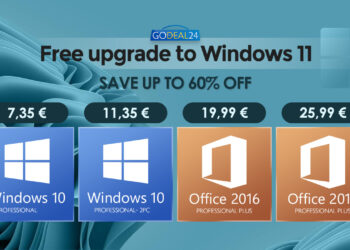 Windows 11