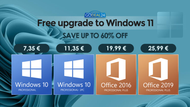 Windows 11