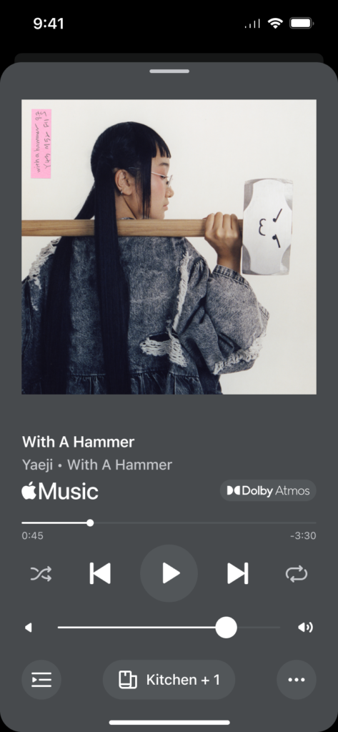 Sonos App Now Playing - Dark