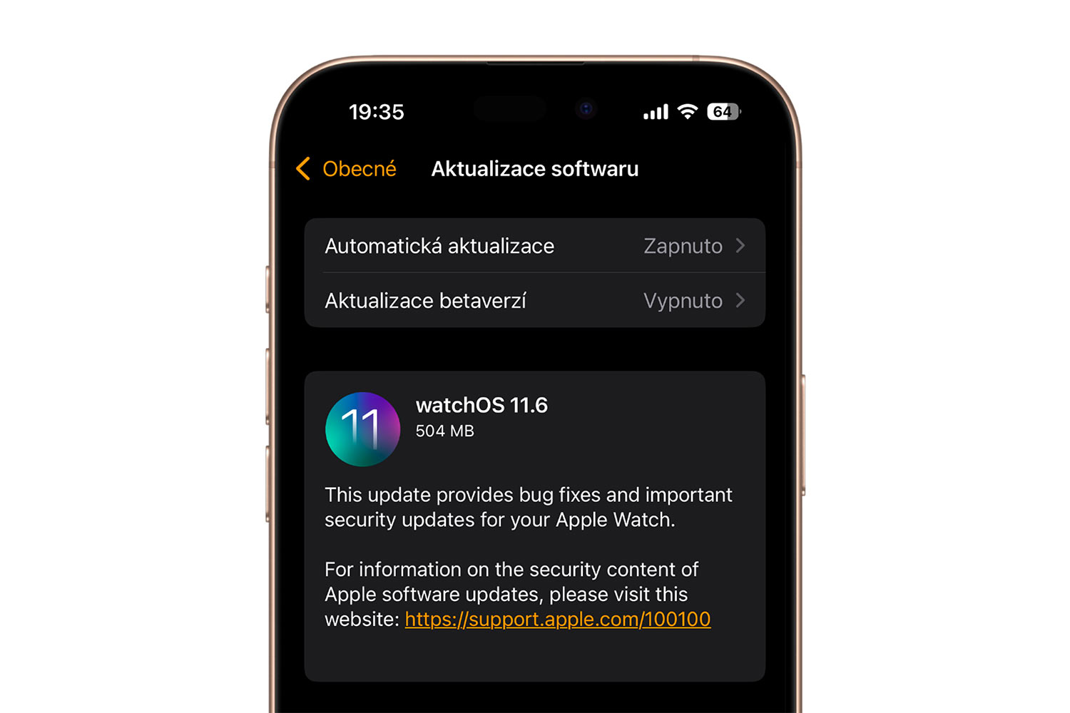 watchOS 11.6