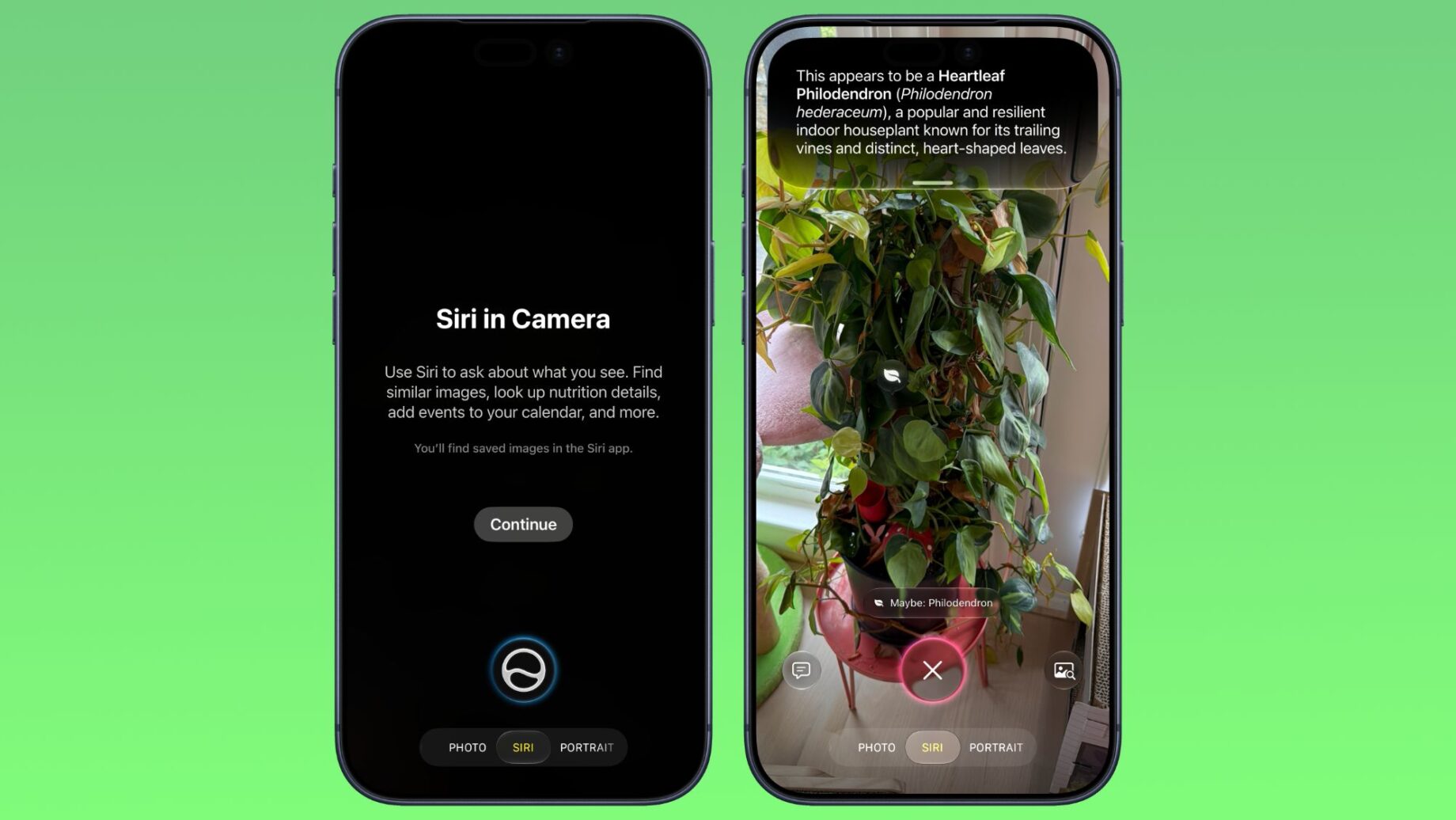 iPhone s novým Siri režimem ve Fotoaparátu v iOS 27
