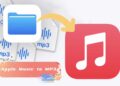 ViWizard Apple Music Converter