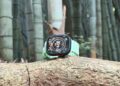 Apple Watch na zápěstí s měřením času na denním světle