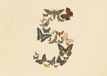 Rozhraní Claude s modelem Fable 5