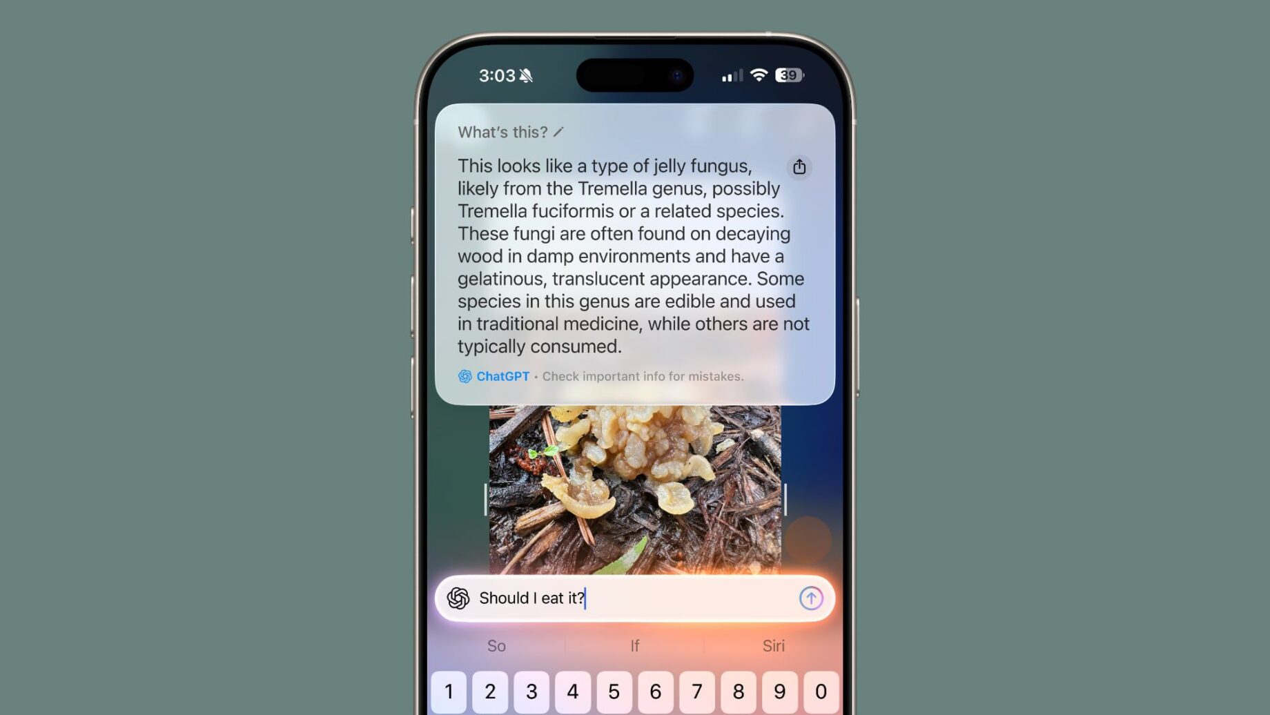 iPhone s funkcí Visual Intelligence při rozpoznávání produktu