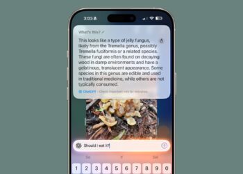 iPhone s funkcí Visual Intelligence při rozpoznávání produktu